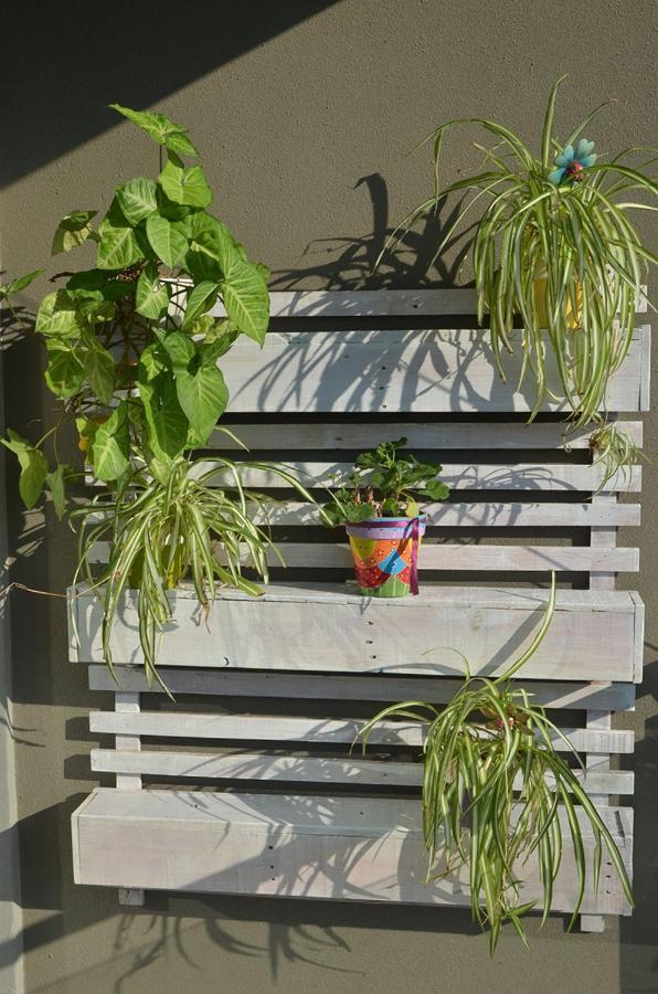 Monoambiente La Pitota Appartement Paraná Buitenkant foto